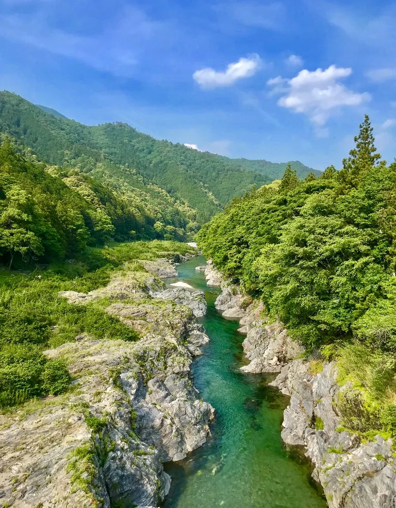 新緑の香肌峡を流れる清流